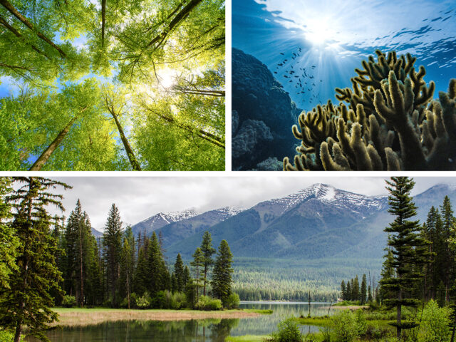 5 Ways to Make Labels More Sustainable